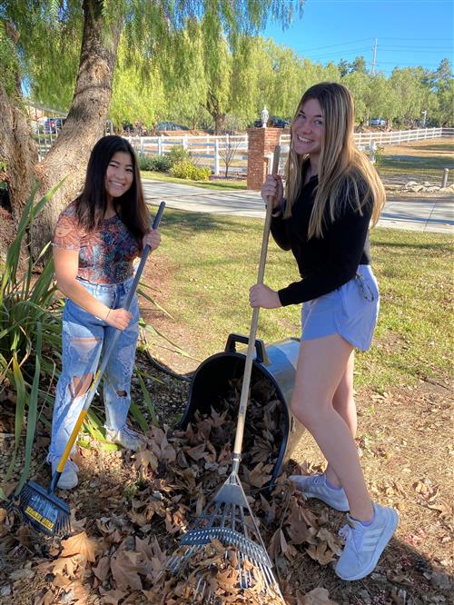 NHS Raking more leaves
